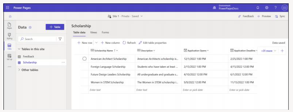 Dataverse and Power Pages data workspace example